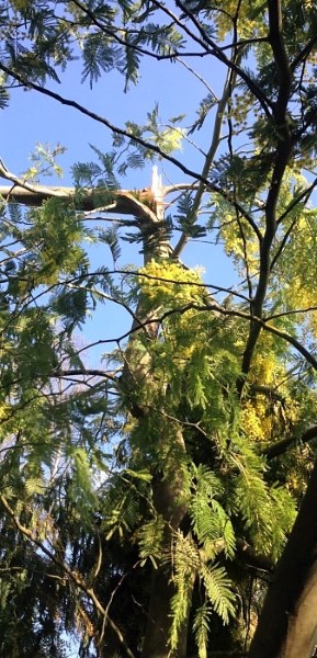 IMG_0045_CR (Custom2)